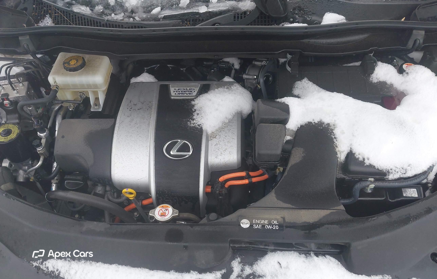 Lexus RX 2022