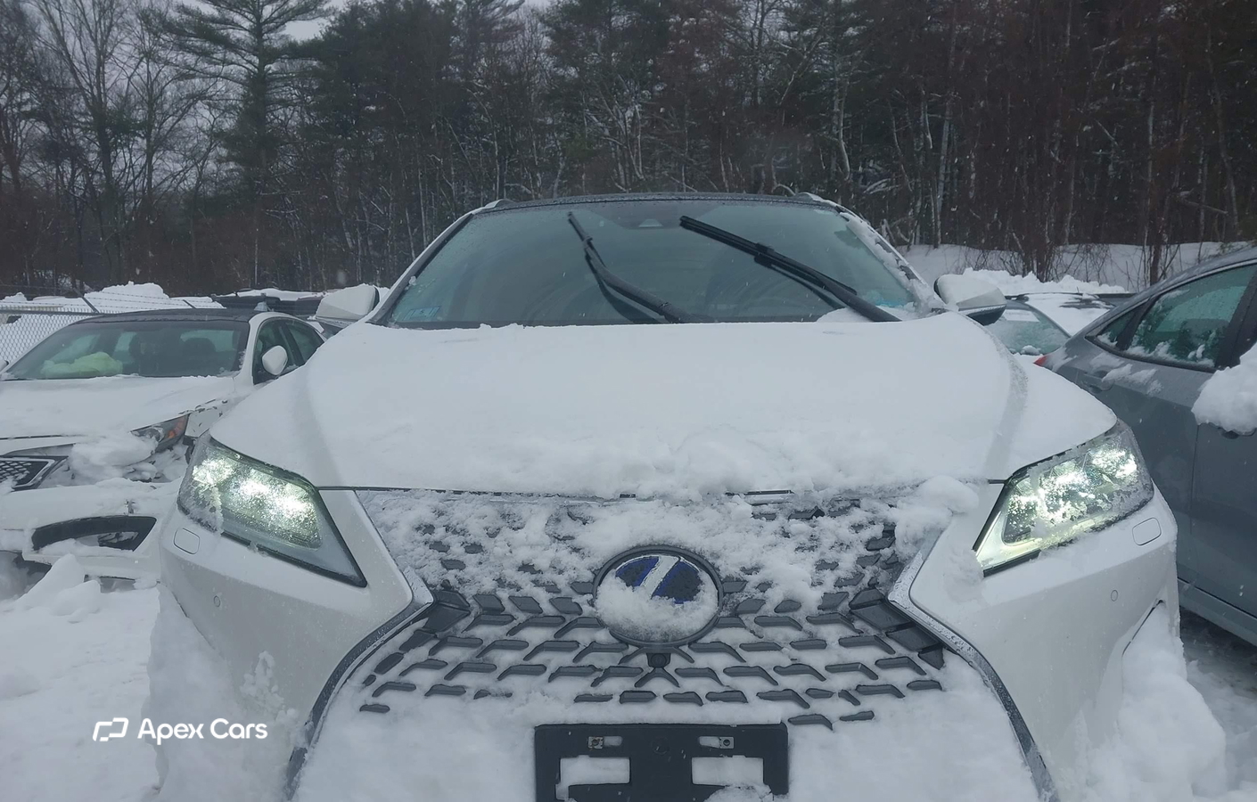 Lexus RX 2022
