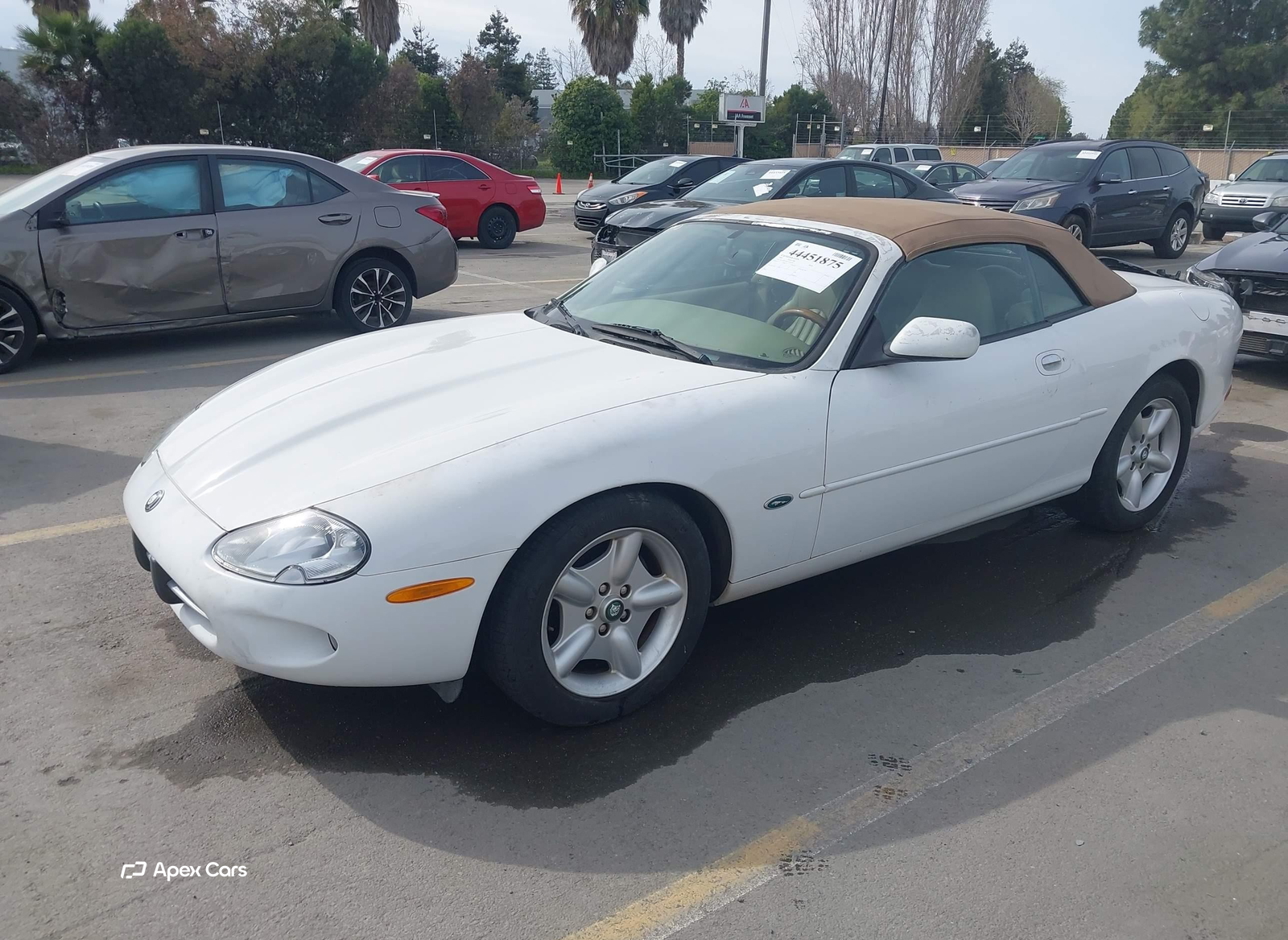 Jaguar XK 1997