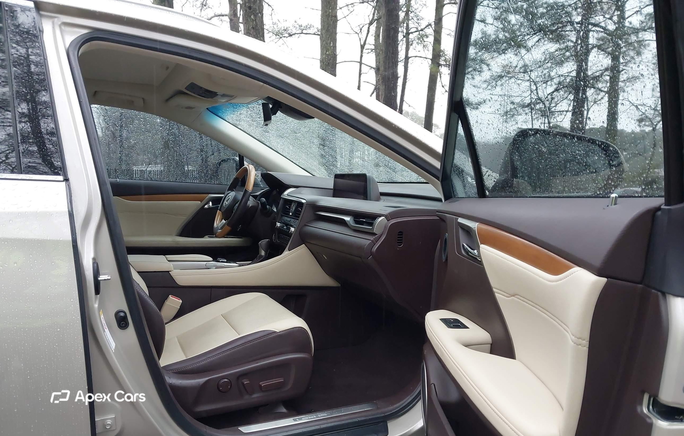 Lexus RX 2017