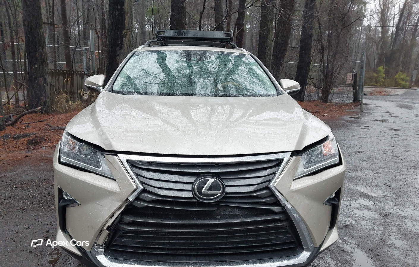 Lexus RX 2017