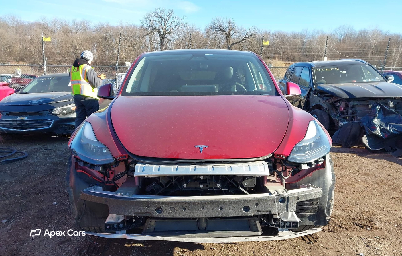 Tesla Model Y 2024