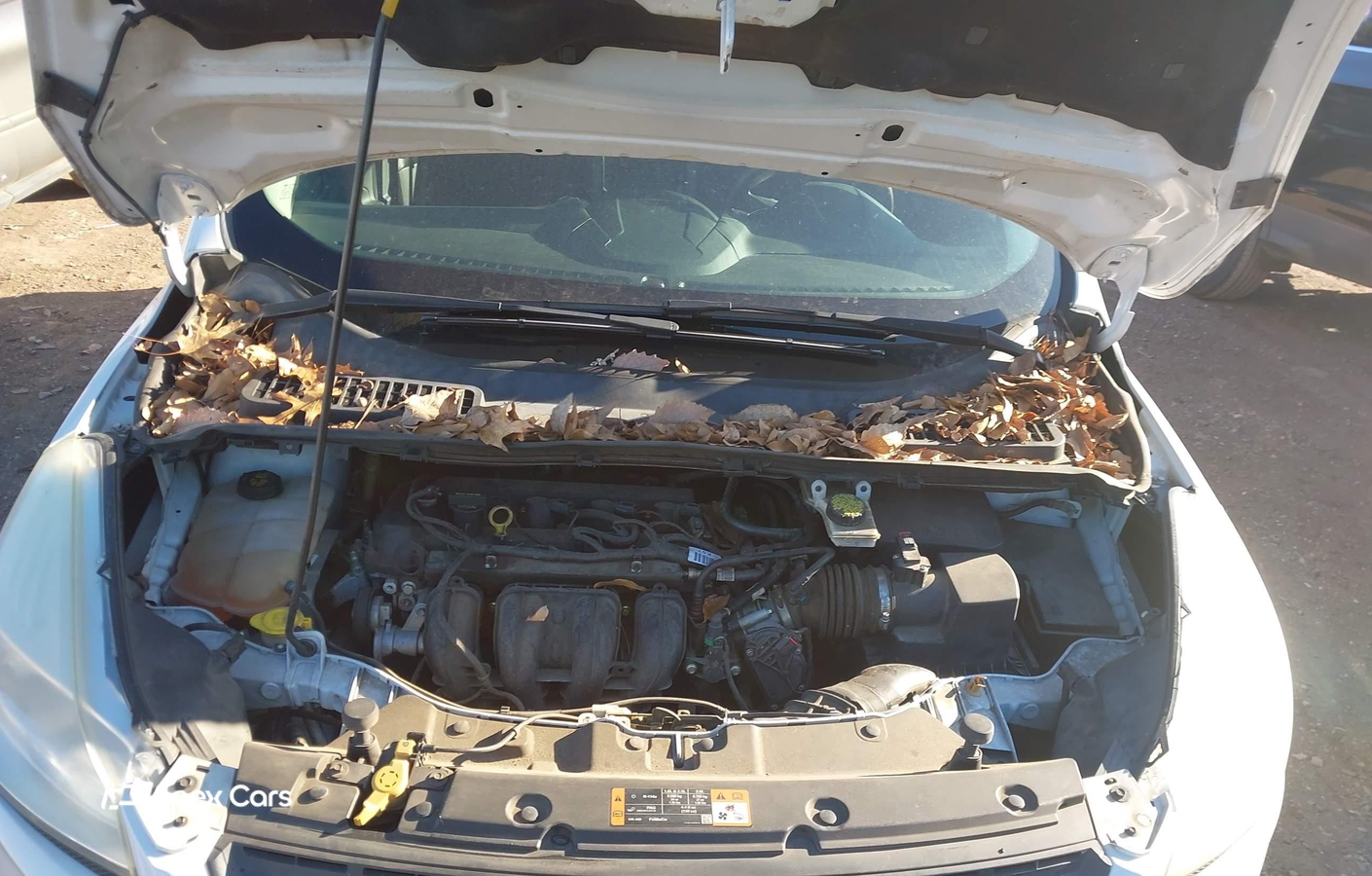 Ford Escape 2015