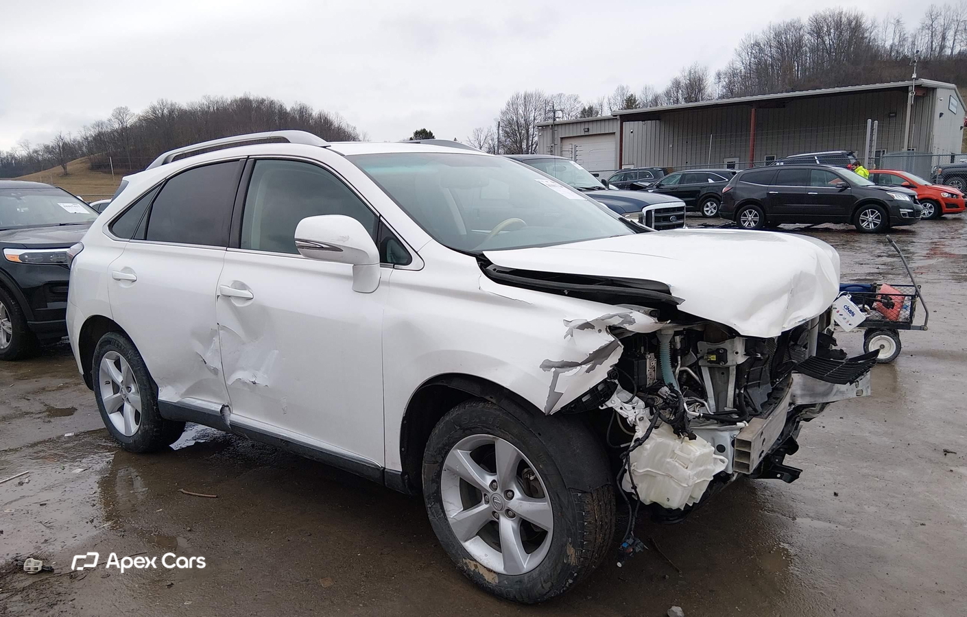 Lexus RX 2012