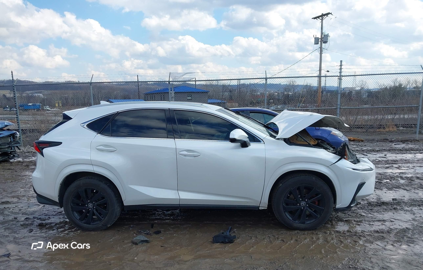Lexus NX 2019