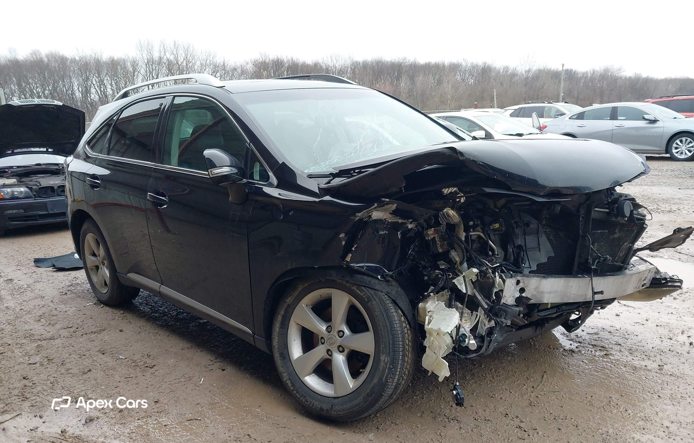 Lexus RX 2010