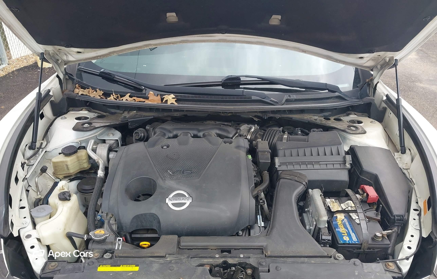 Nissan Maxima 2011