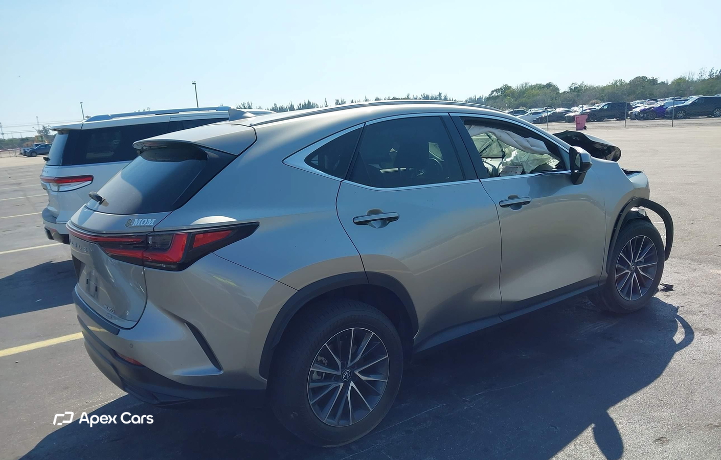 Lexus NX 2024