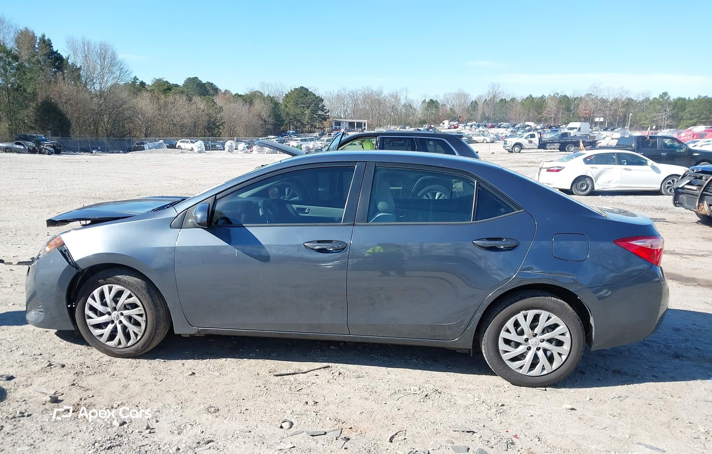 Toyota Corolla 2019