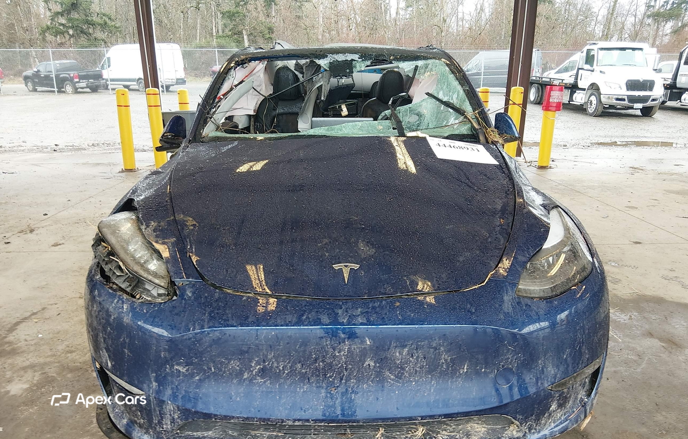 Tesla Model Y 2023