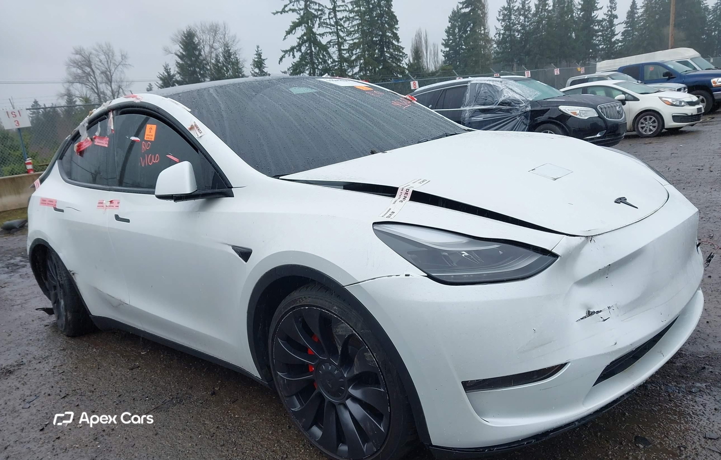 Tesla Model Y 2023