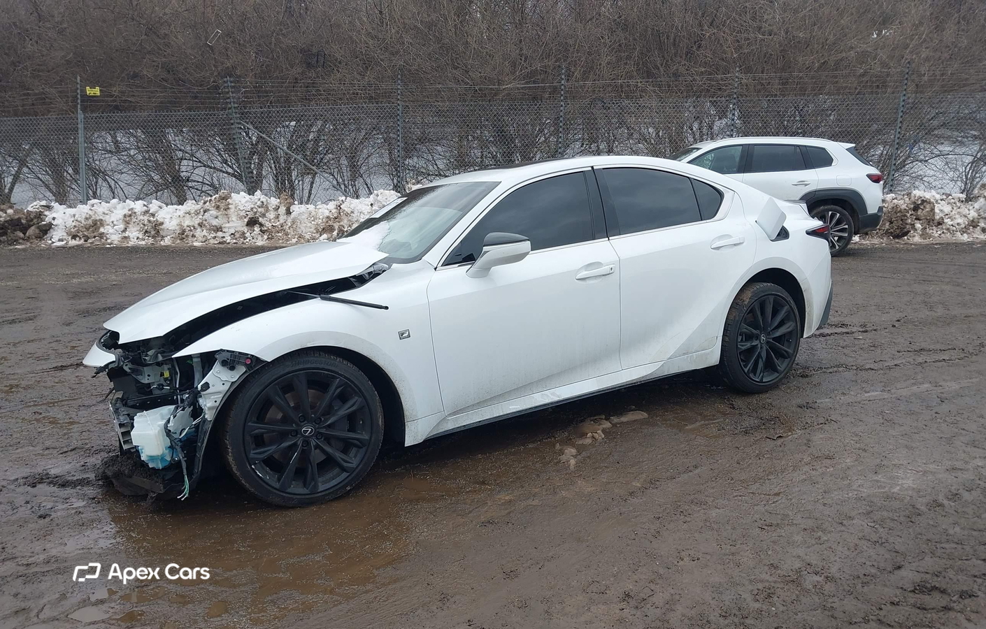Lexus IS 2024