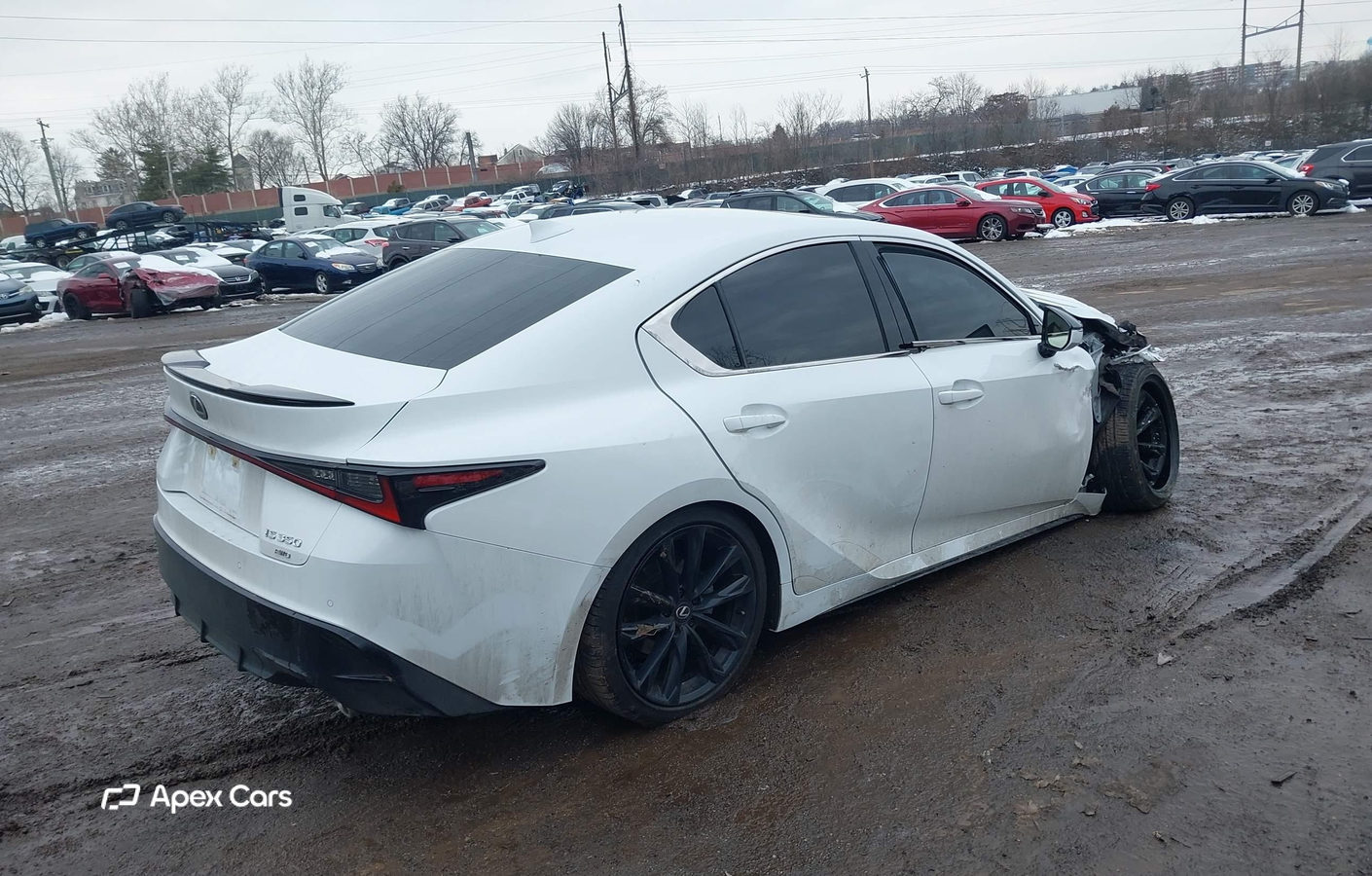 Lexus IS 2024