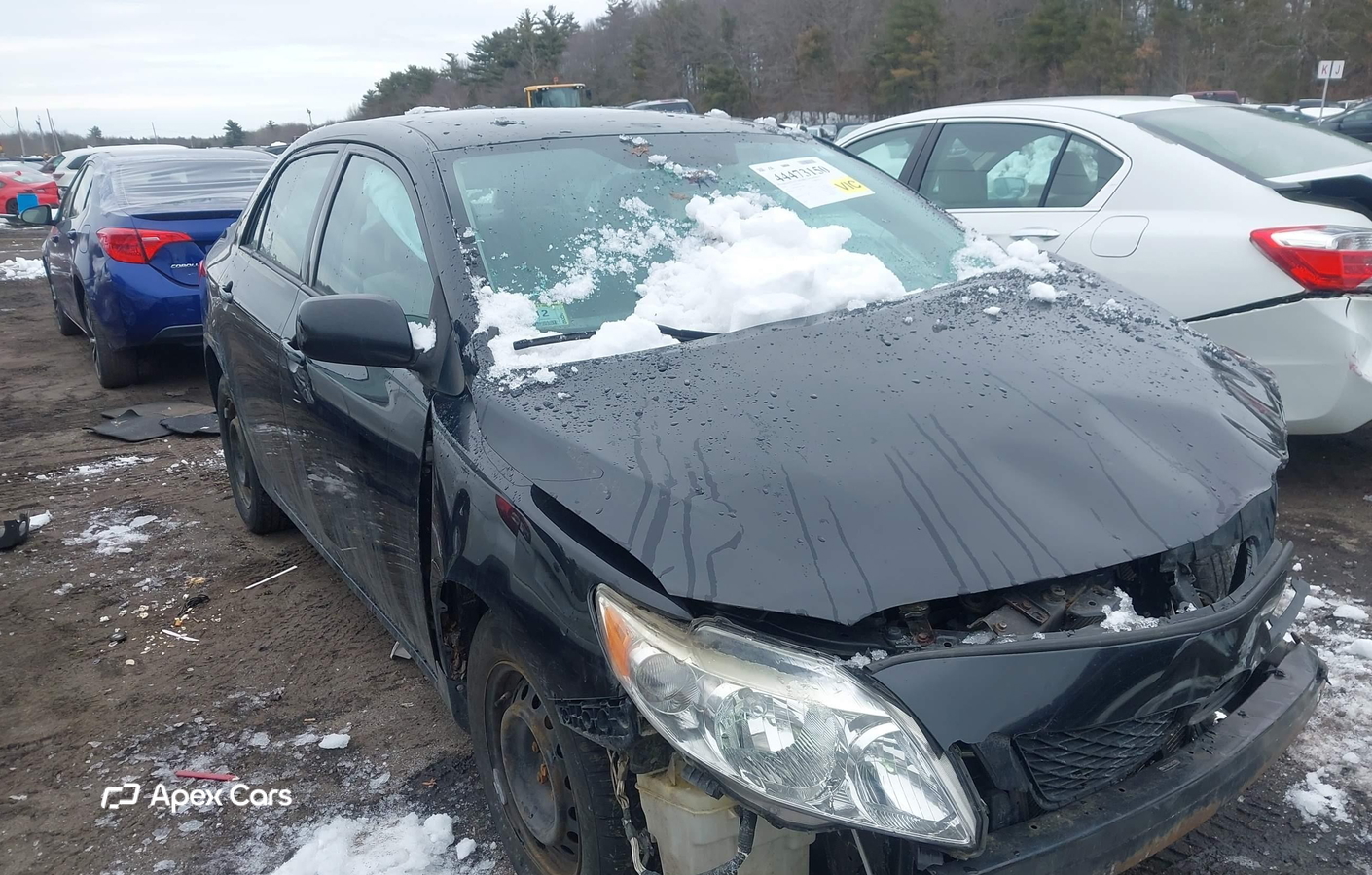Toyota Corolla 2010