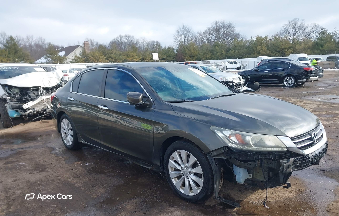 Honda Accord 2013