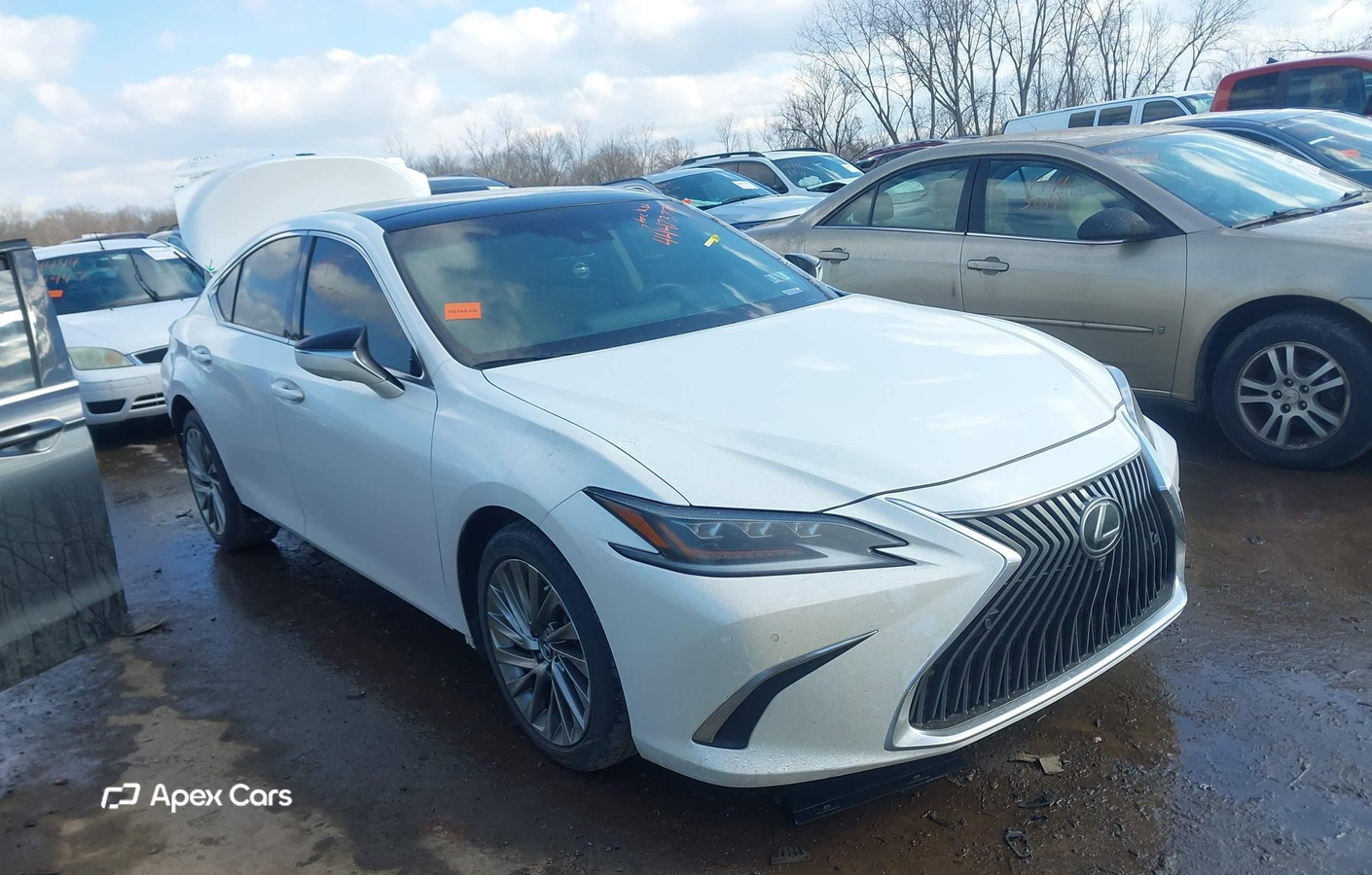 Lexus ES 2019