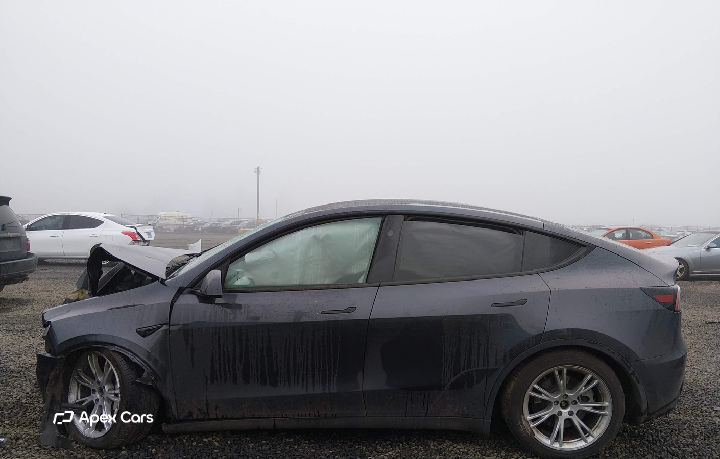 Tesla Model Y 2024