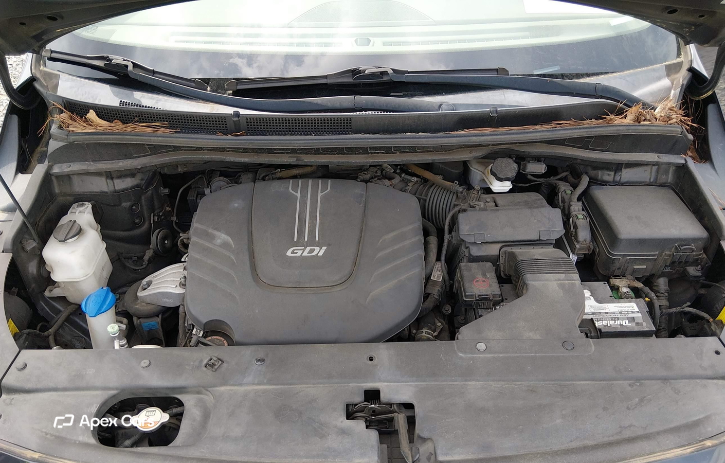 Kia Sedona 2016
