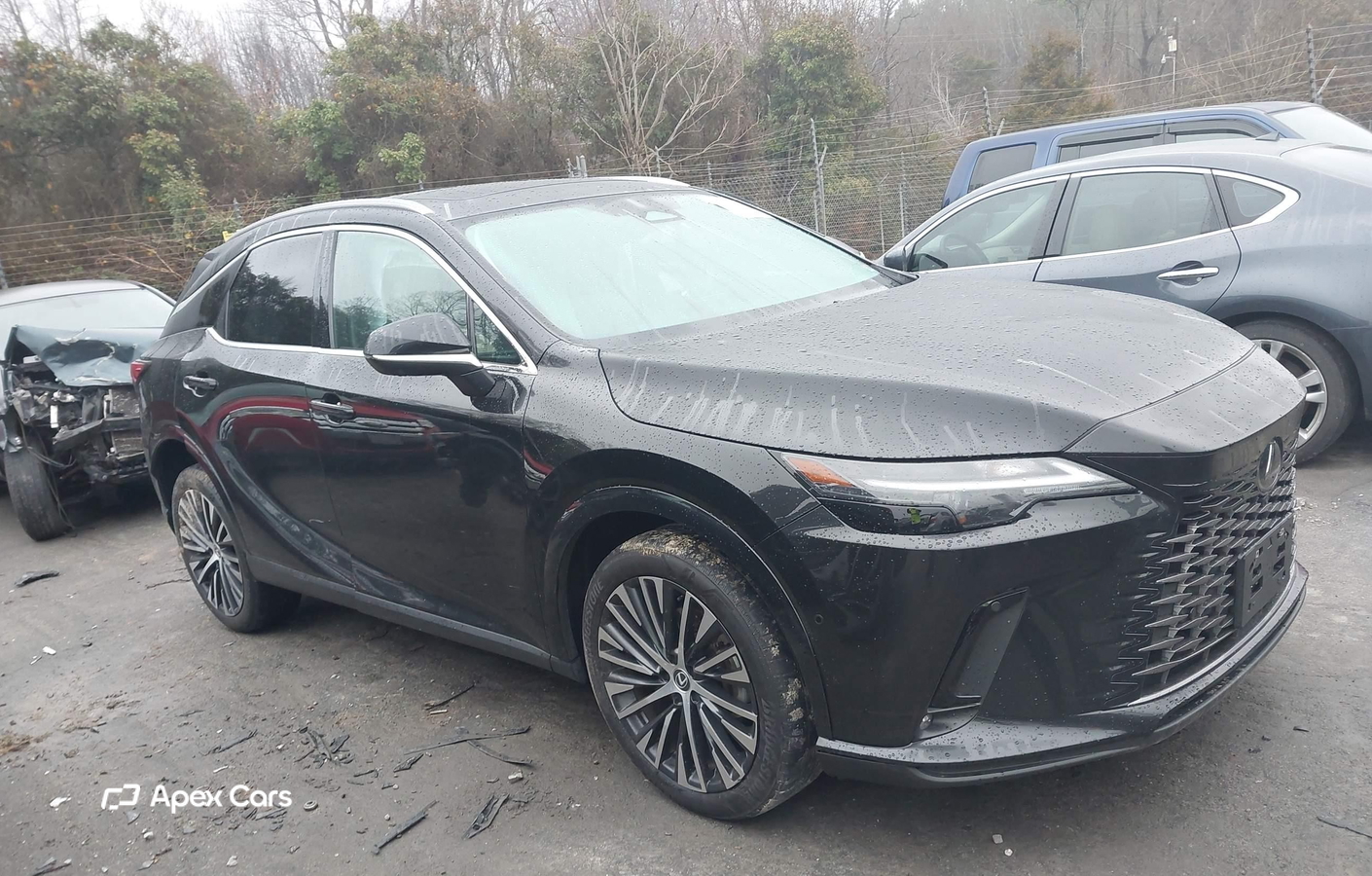 Lexus RX 2023