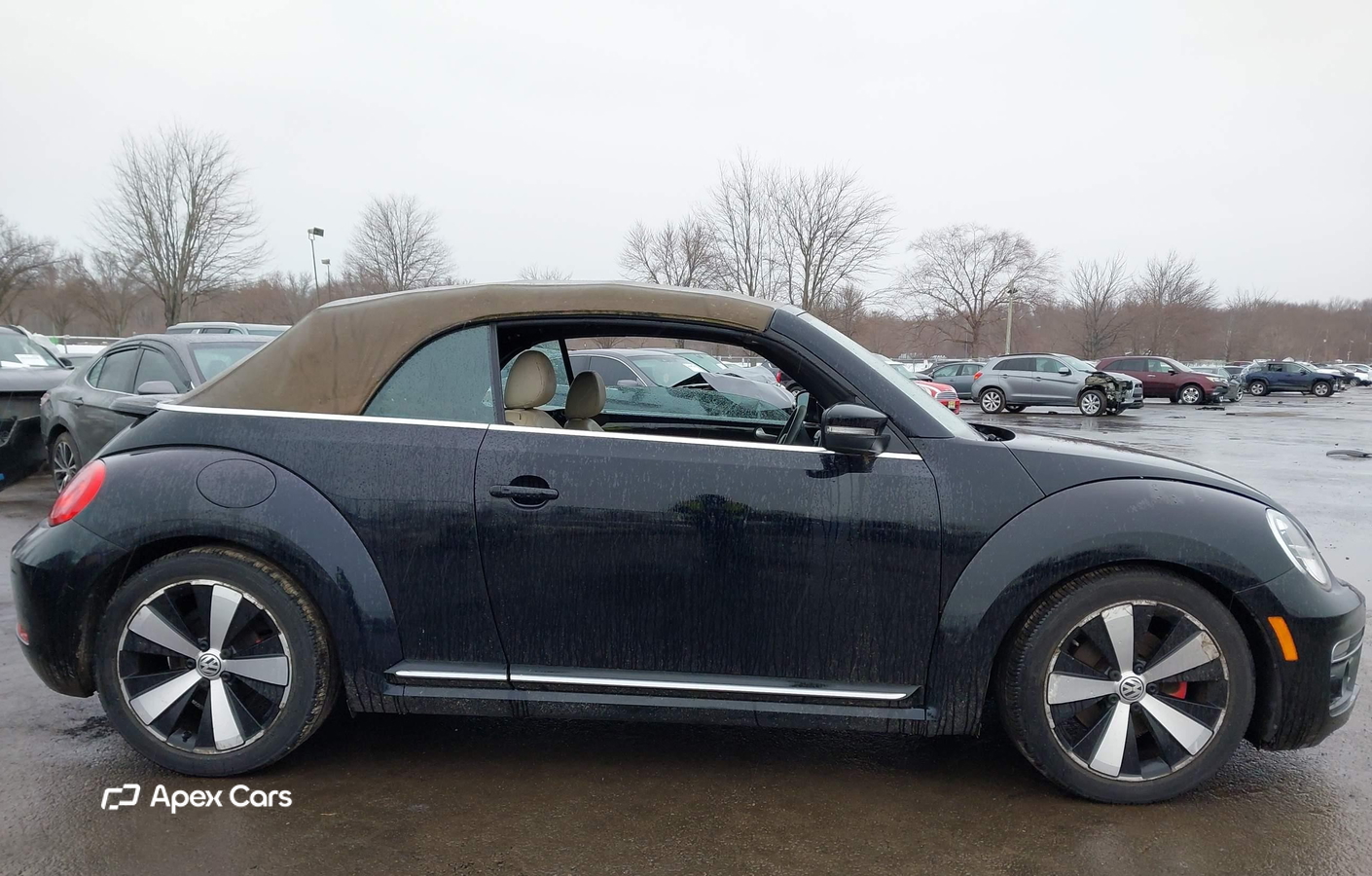 Volkswagen Beetle 2013