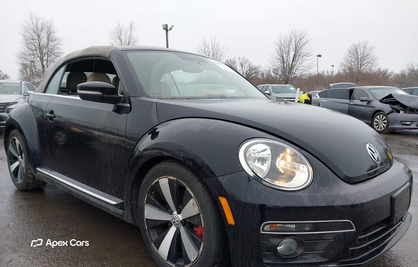Volkswagen Beetle 2013