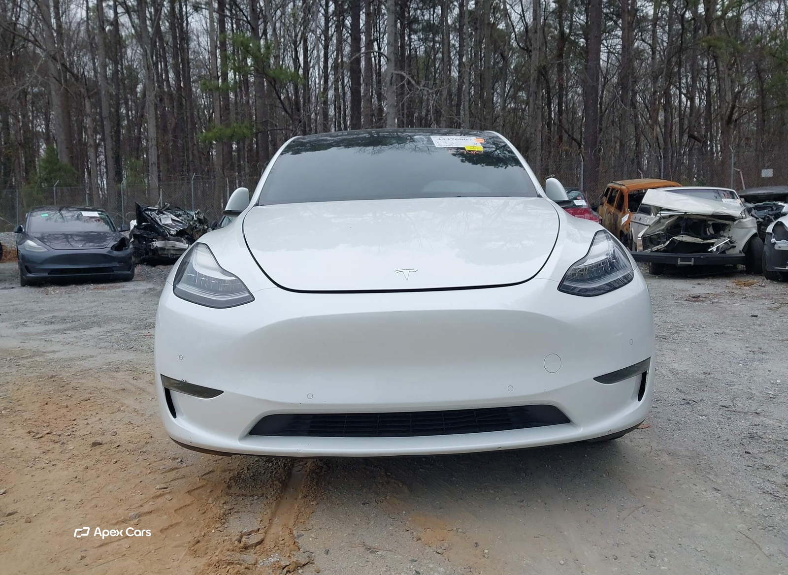 Tesla Model Y 2022