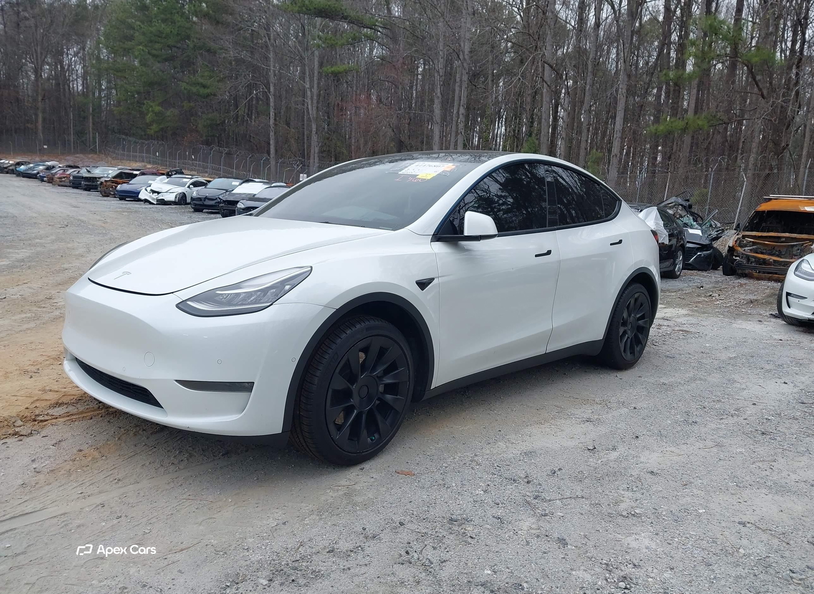 Tesla Model Y 2022