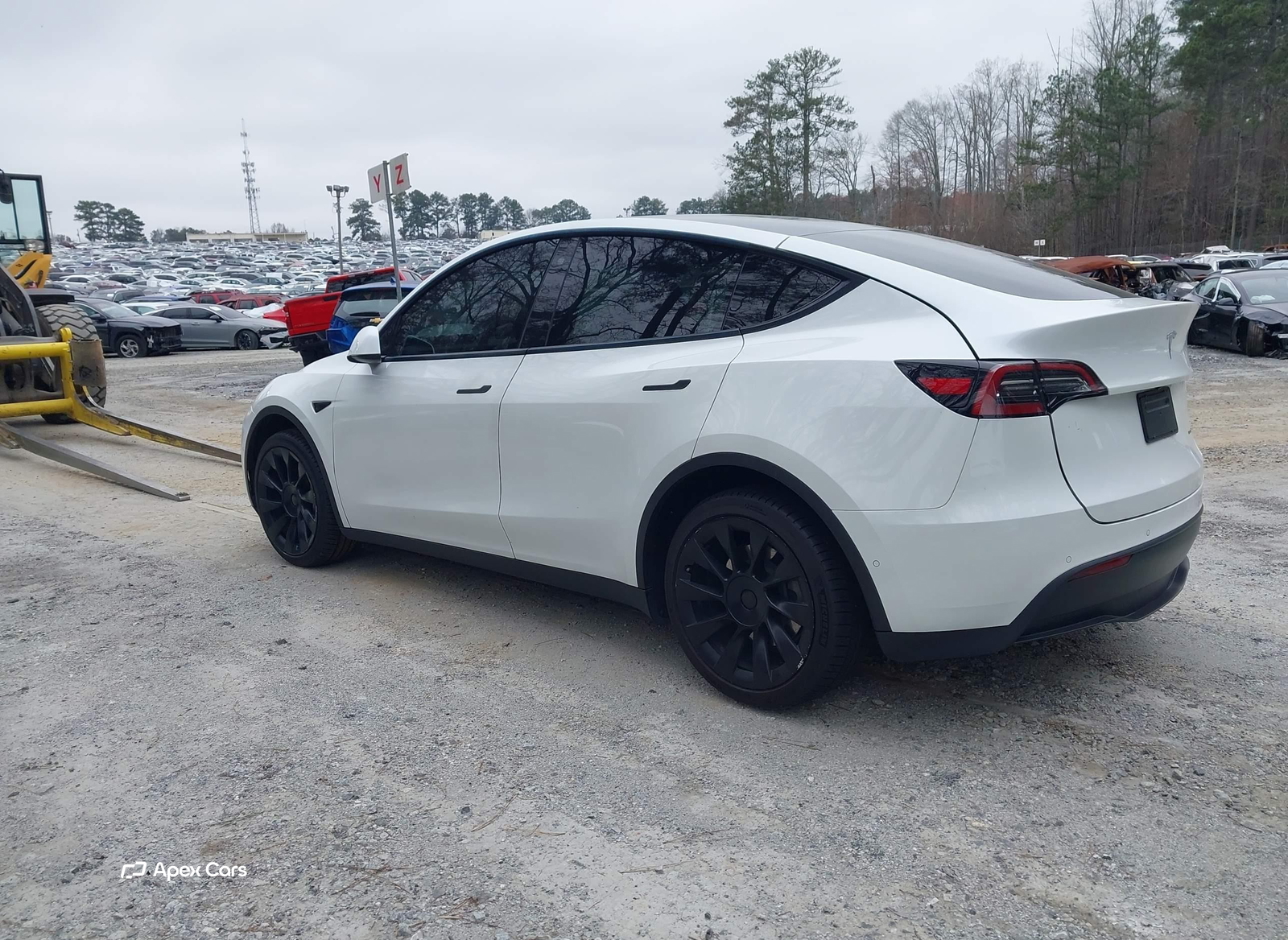 Tesla Model Y 2022