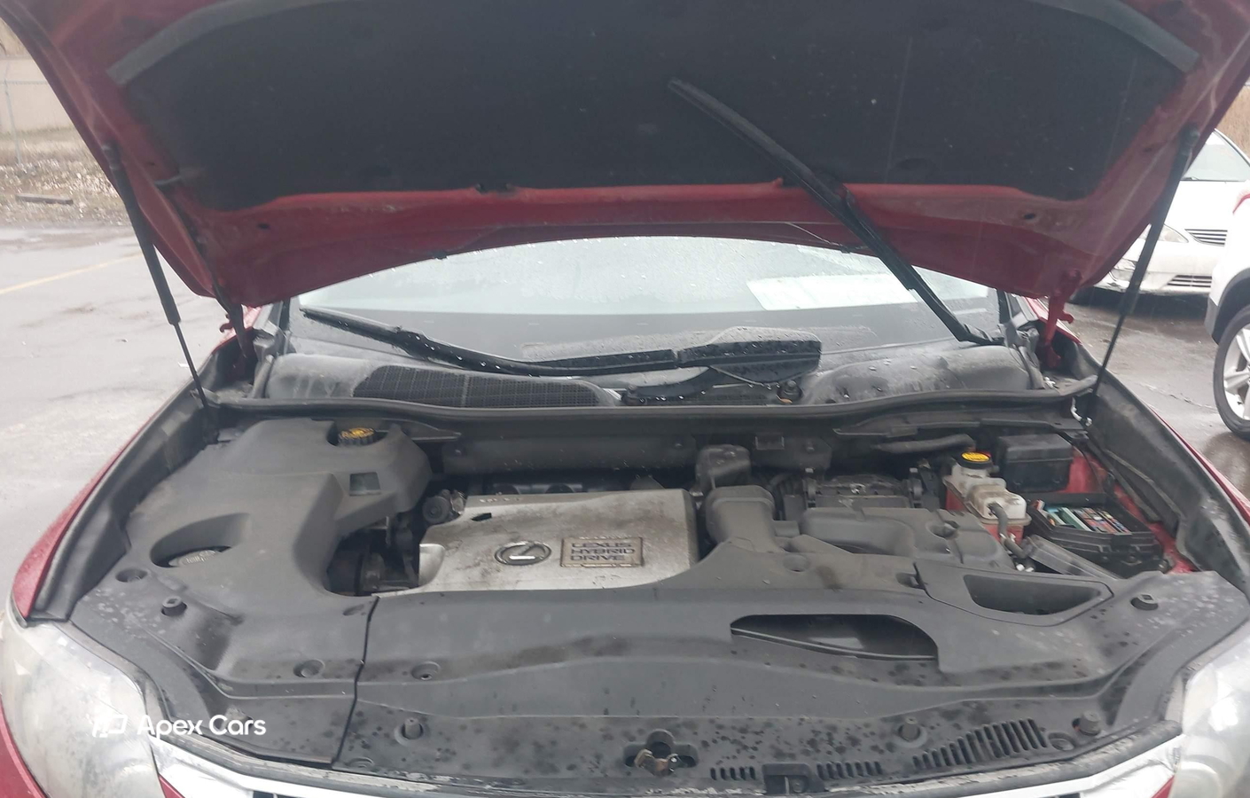 Lexus RX 2010