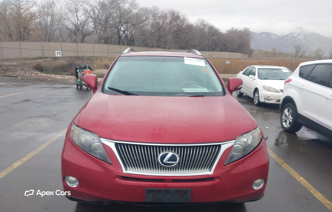 Lexus RX 2010