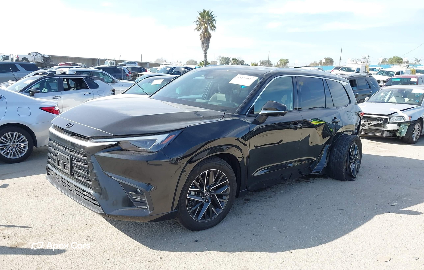 Lexus TX 2025