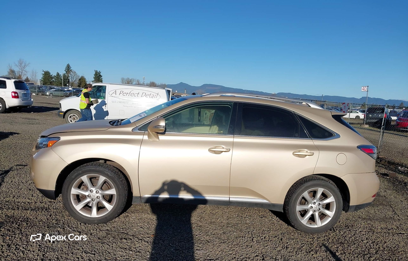 Lexus RX 2010