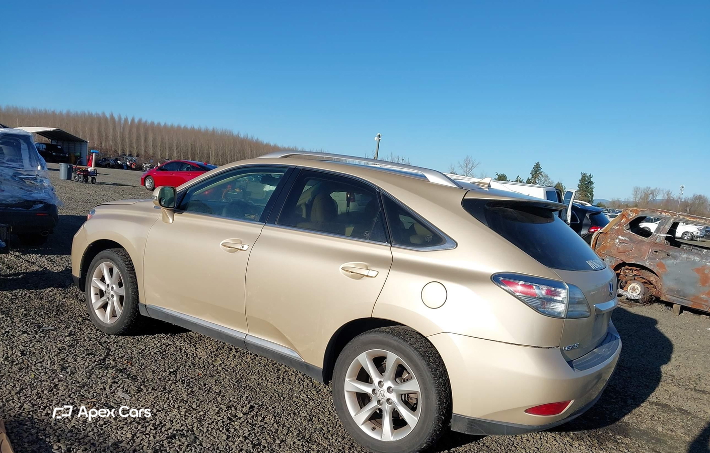 Lexus RX 2010
