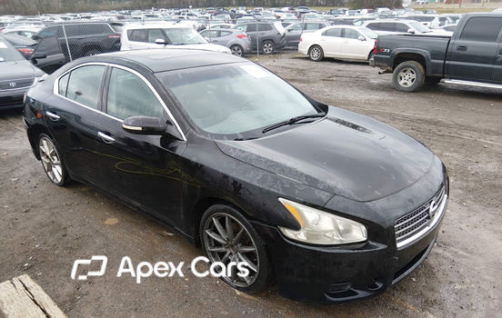 Nissan Maxima 2010 - Image 1 of 16