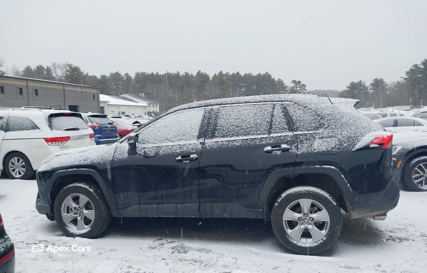 Toyota RAV 4 2025