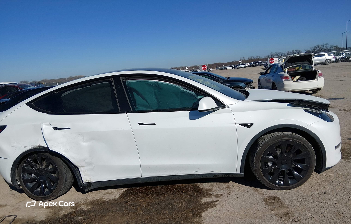 Tesla Model Y 2023