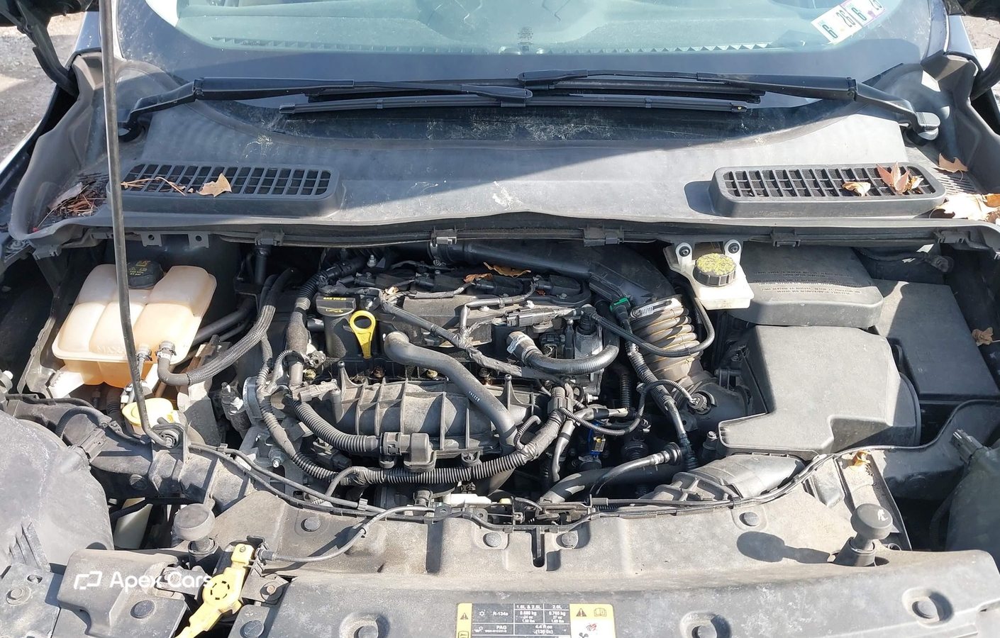 Ford Escape 2014