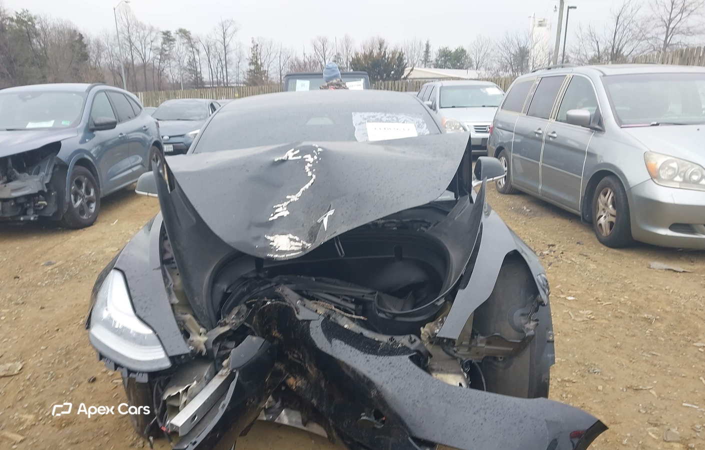 Tesla Model 3 2020
