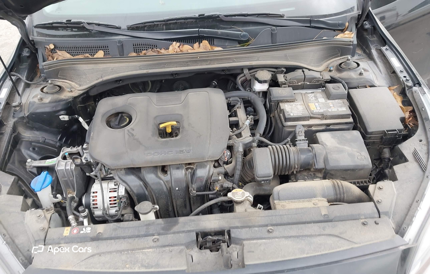 Kia Forte 2024