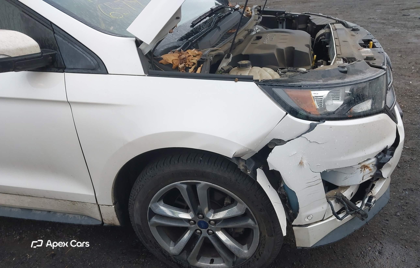 Ford Edge 2015