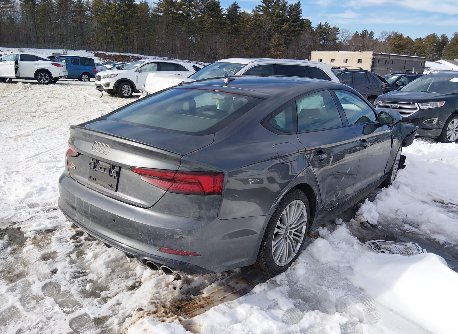 Audi S5 2019