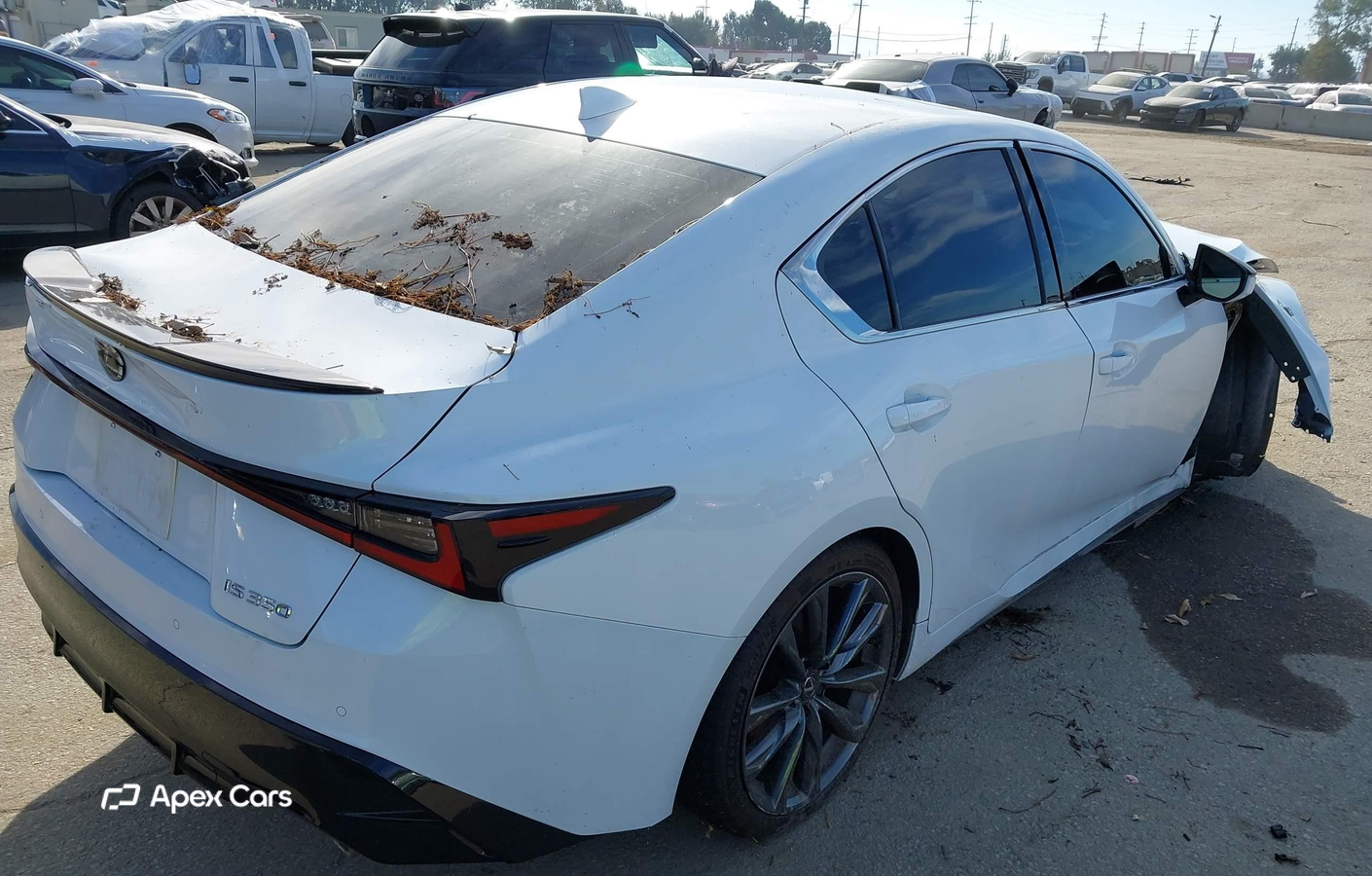 Lexus IS 2024