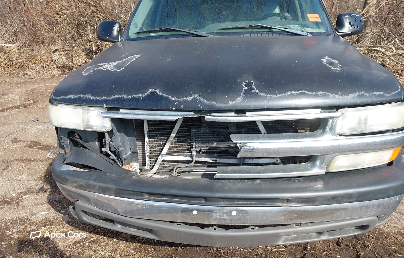 Chevrolet Express 2006