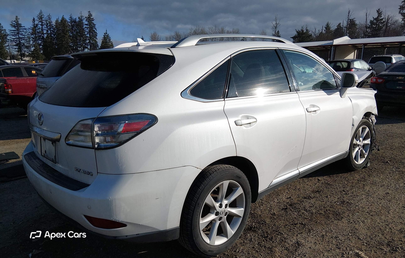 Lexus RX 2010