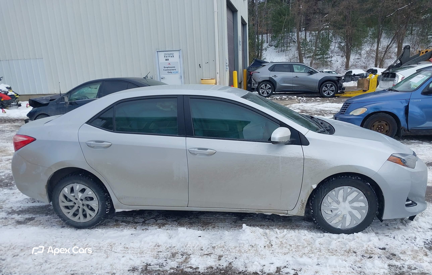 Toyota Corolla 2019