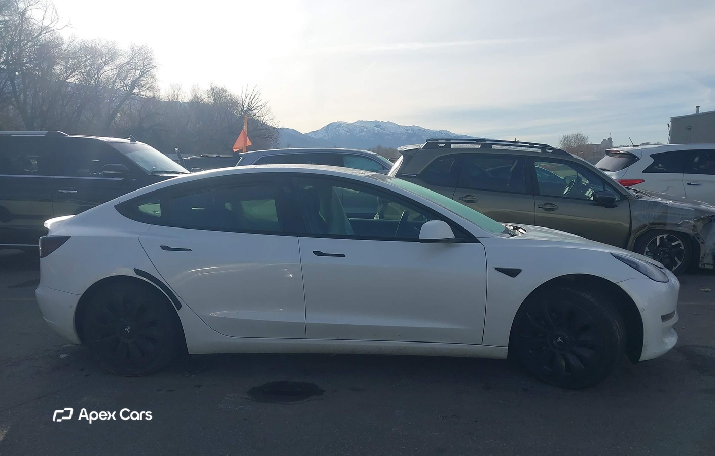 Tesla Model 3 2021