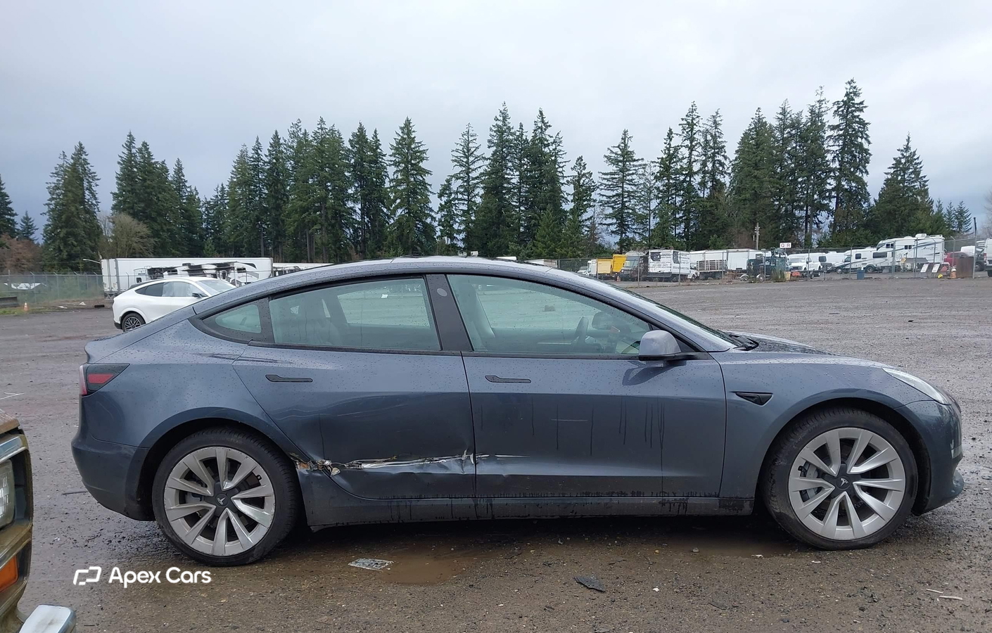 Tesla Model 3 2023