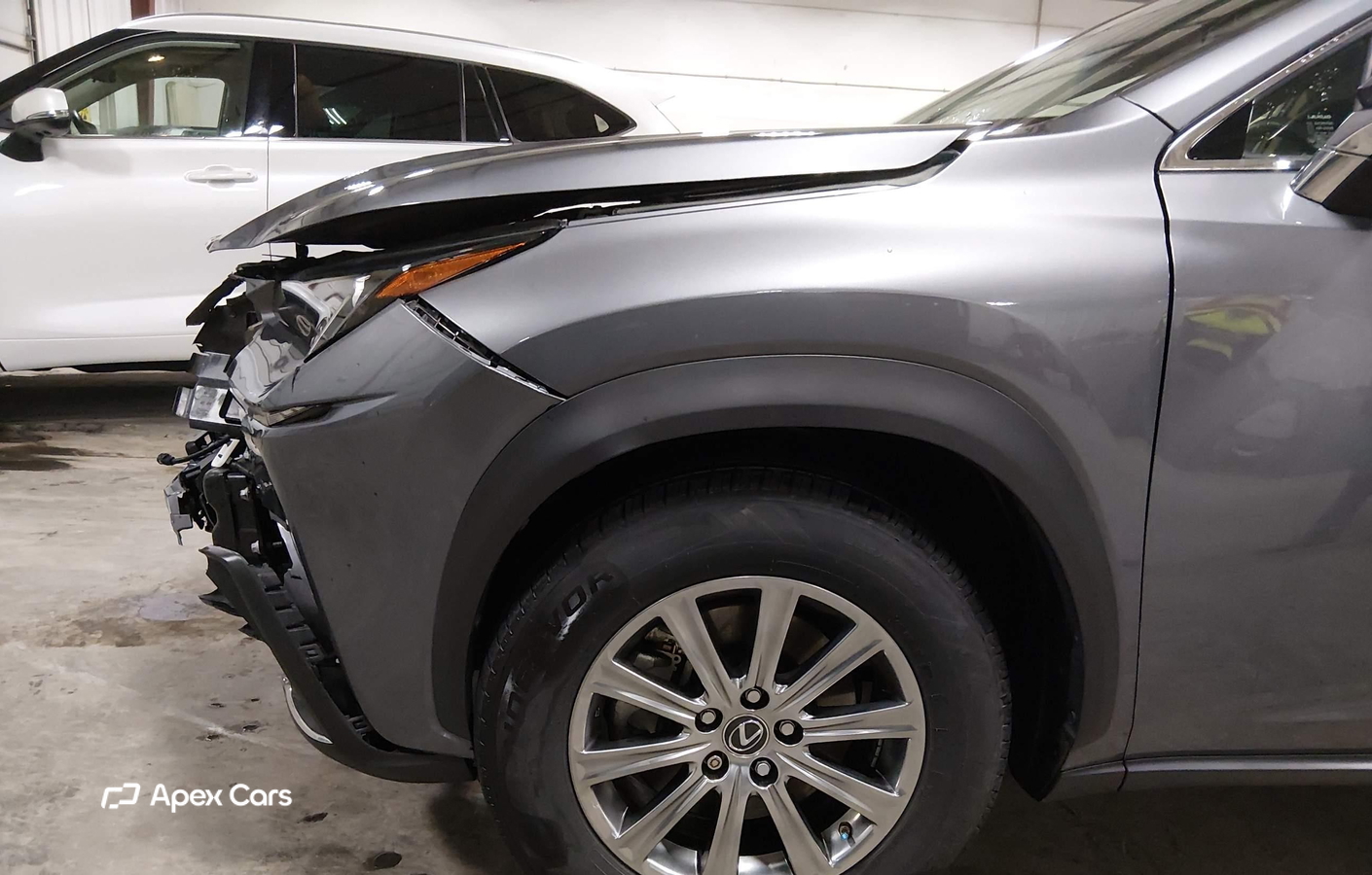 Lexus NX 2019
