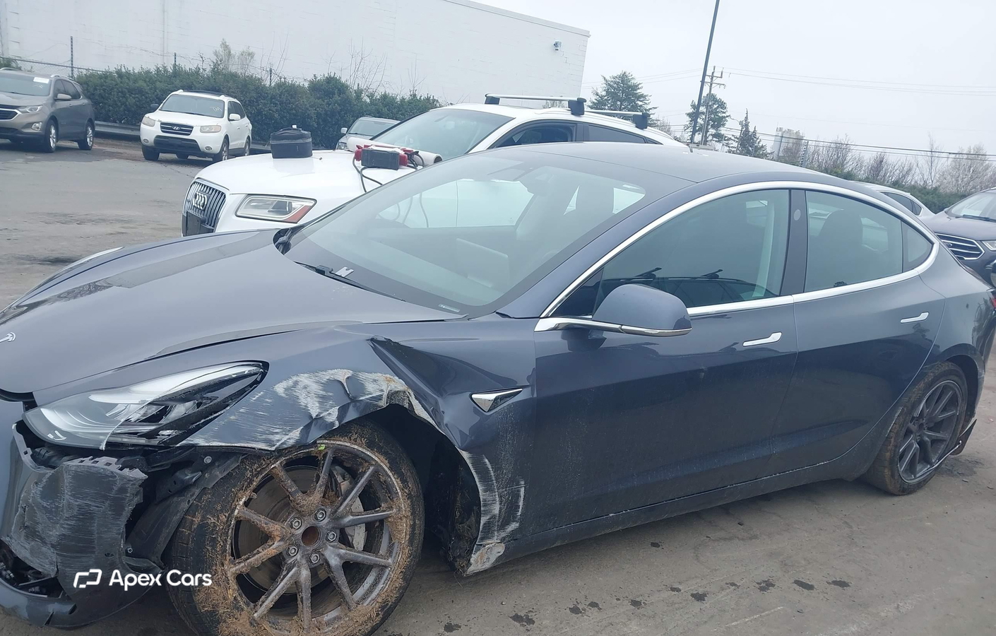 Tesla Model 3 2019