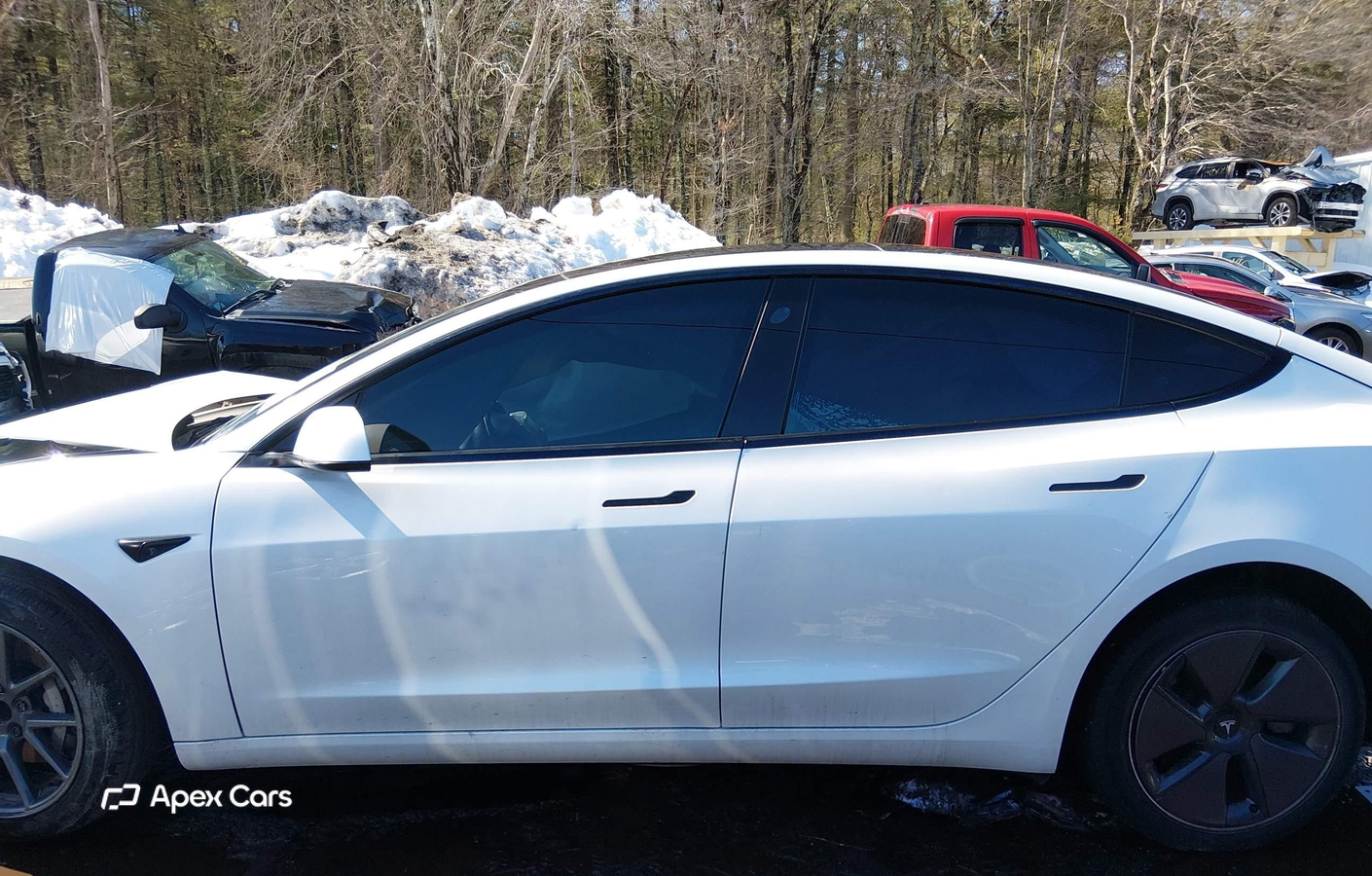 Tesla Model 3 2021